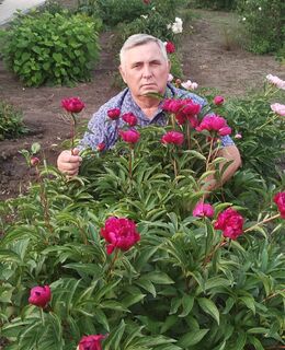 Urij0595@gmail.com