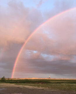 Валерий Гаврилов