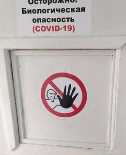 Петр Мамонов